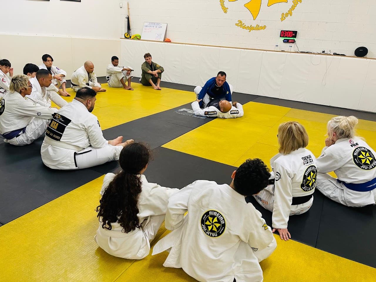 Ribeiro Jiu-Jitsu Las Vegas